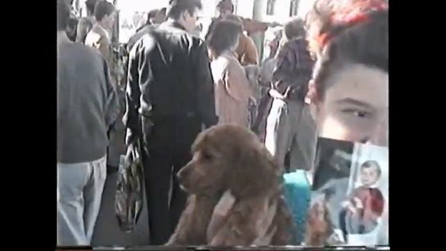 Тезиковка эпизод 2 смотреть онлайн