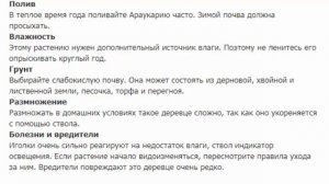 Араукария разнолистная