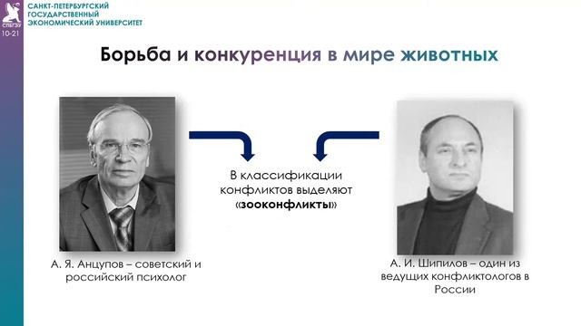 Сходство социумов людей и животного мира смотреть онлайн
