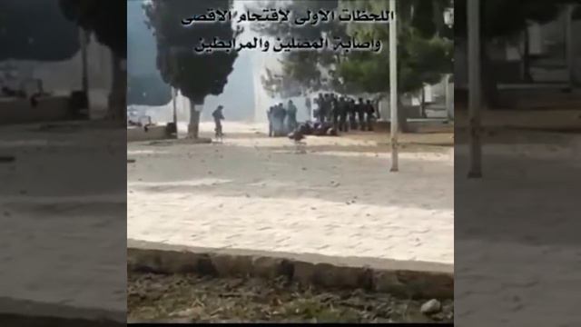 فلسطين اسماعيل تمر راب فلسطيني سوري انا مسجد الاقصى ،🥺💔... смотреть онлайн