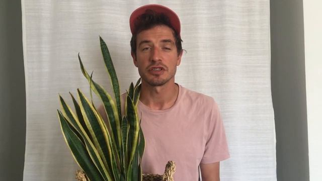 Кирилл Иванов из СБПЧ — про акцию «Дети вместо цветов» смотреть онлайн