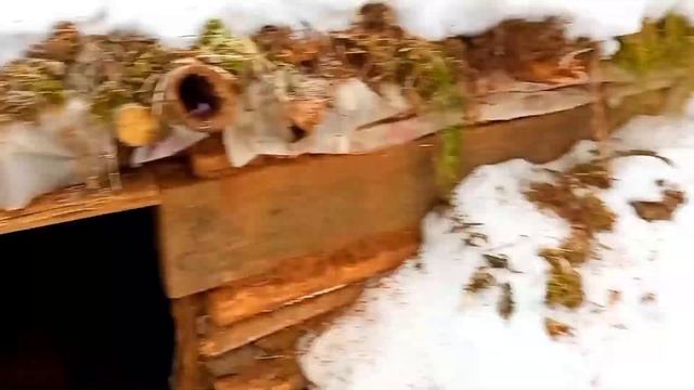 новое окно в землянку | бушкрафт | тайга | bushcraft | Taiga смотреть онлайн