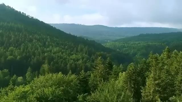 💗Предательство я могу простить, но когда я узнала что они вместе решили... Любовница. Рассказ смотреть онлайн