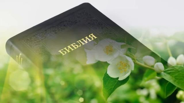 298. Исповедовать Христа и исповедовать грех, в чем разница? смотреть онлайн