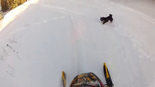 Снегоход Ski Doo (Советск 43) смотреть онлайн