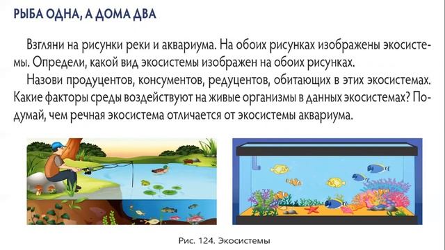 Сравнение естественных и искусственных экосистем смотреть онлайн