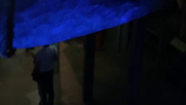 экспозиции на судне Витязь смотреть онлайн