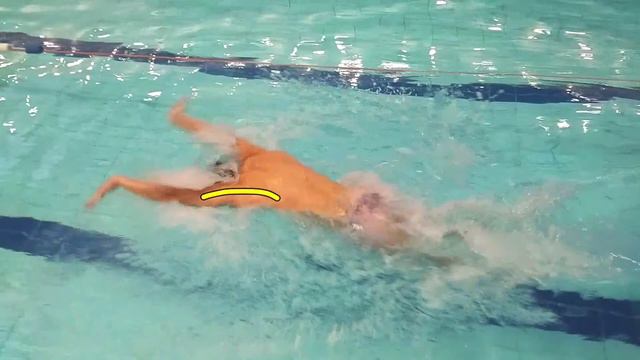 You Can Swim Fly смотреть онлайн