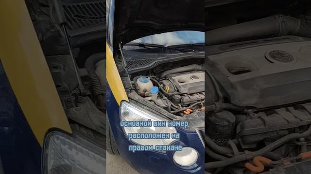 Вин номер(vin) и номер двигателя(ДВС) Шкода YETI 1.8 TSI смотреть онлайн