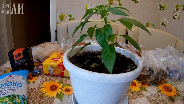 Покупки с дочкой. Заготовки на зиму. смотреть онлайн