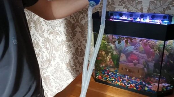 Использование аквариумного сифона