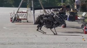 Amazing Boston Dynamics Robots (Удивительные роботы Бостон Динамикс)