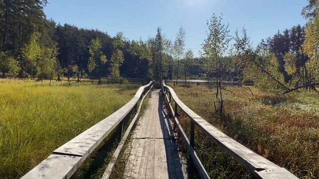 Выходные в GREENVALD Парк Скандинавия | ОТДЫХ НА ПРИРОДЕ смотреть онлайн
