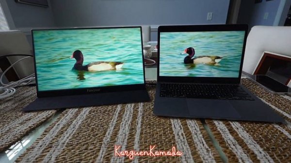 Portable Monitor - Fancyear 15.6" FHD 1080P HDR IPS Portable Laptop Monitor