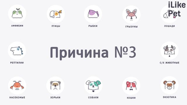 5 причин храпа у собак смотреть онлайн