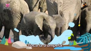 Hakuna Matata y más canciones de animales | +Recopilación | Pinkfong Canciones Infantiles
