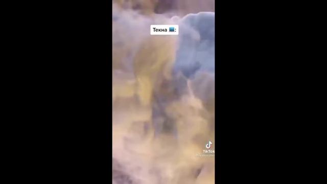 /Tiktok/Видео/?WINX школа волшебниц?/@azabraza2001/ смотреть онлайн
