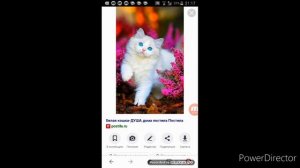 как скачать фото с браузера в галерею(вся тайна)