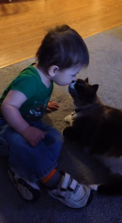 Мальчик поцеловал кота смотреть онлайн