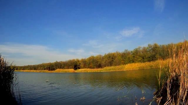 Рыбалка на вело 25 км в одну сторону / скользящий поплавок плотва #fishing #ukraine смотреть онлайн