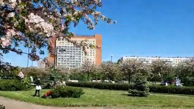 Яблоневый сад. Май 2021г смотреть онлайн