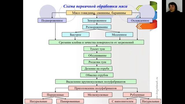 Виды мяса, поступающего на предприятия общественного питания. смотреть онлайн