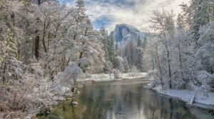 Футаж. Зимний пейзаж 85