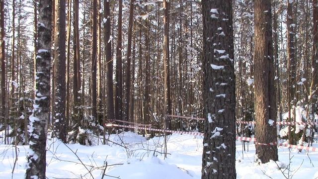 ski-o 15.02.2018 7 смотреть онлайн