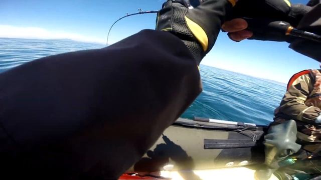 Морская рыбалка с лодки. смотреть онлайн