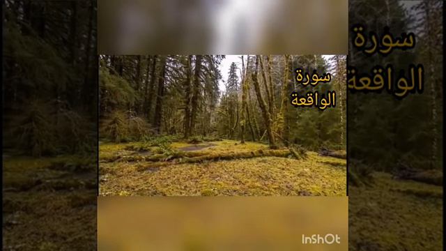 #Сура:56 "Аль-Вакиа"(سورة الواقعة)чтец:Омар Хишам смотреть онлайн