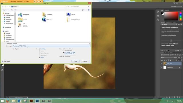 How to Export Your Artwork From Photoshop Custom Label Printing Instructions | Leapin' Lizard Label смотреть онлайн