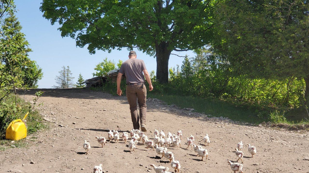 TWO YEARS on YOUTUBE and Paying ALL Our Bills смотреть онлайн