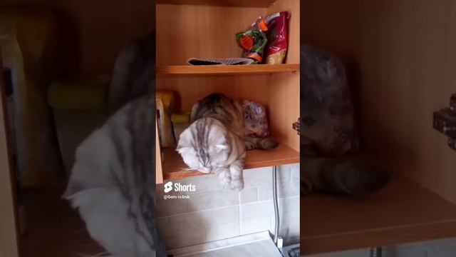 13 августа 2024 г..mp4