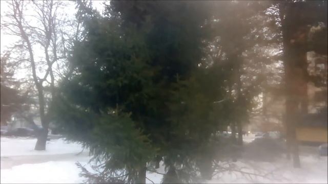 квартиры в приозерске купить квартиру в приозерке продажа квартир в приозерске квартиры в Приозерск смотреть онлайн
