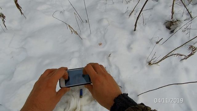 Охота троплением на зайца-беляка (+рябчик) смотреть онлайн