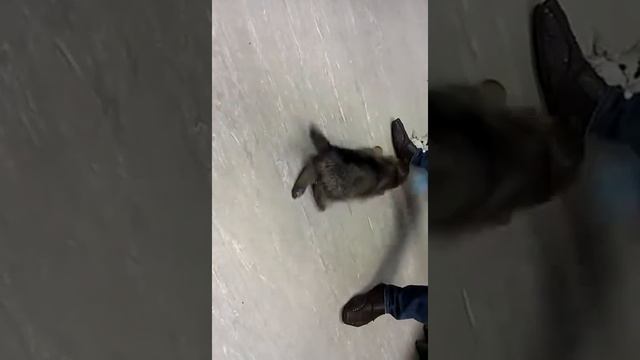 Мертвая хватка смотреть онлайн