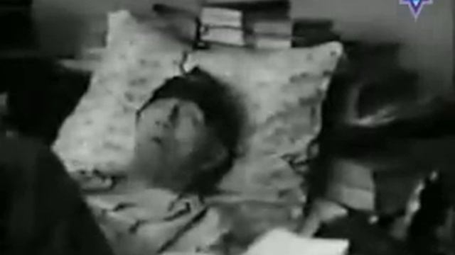 Petre Tutea ...despre Constitutia din 1923 si monarhie.avi смотреть онлайн