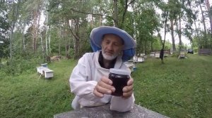 ПАДЕВЫЙ МЕД. ЧТО ЭТО ТАКОЕ.