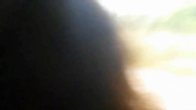 Разъяренный слон опрокинул и смял машину с туристами смотреть онлайн