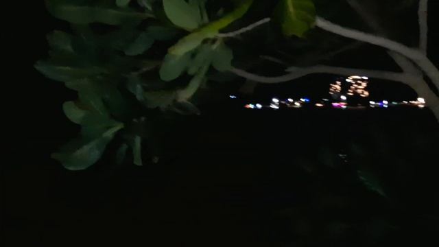 Отель "Joes Resort Unawatuna"-2022. Номер, бурундуки, скорпион, баррингтония.(Barringtonia asiatica смотреть онлайн