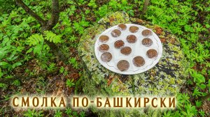 Как приготовить жевательную смолку. Сбор смолы лиственницы