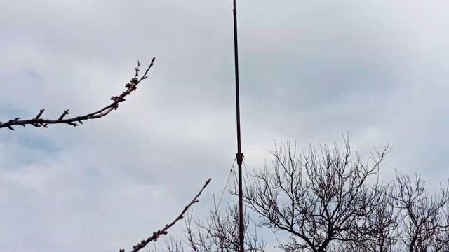 выпустили голубей николаевские маленькие голубы тоже гуляют смотреть онлайн