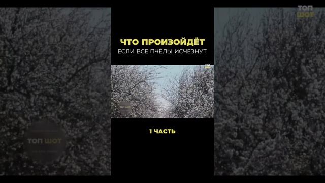 Что будет если исчезнут пчелы 1 часть || Животный мир ❤️ смотреть онлайн