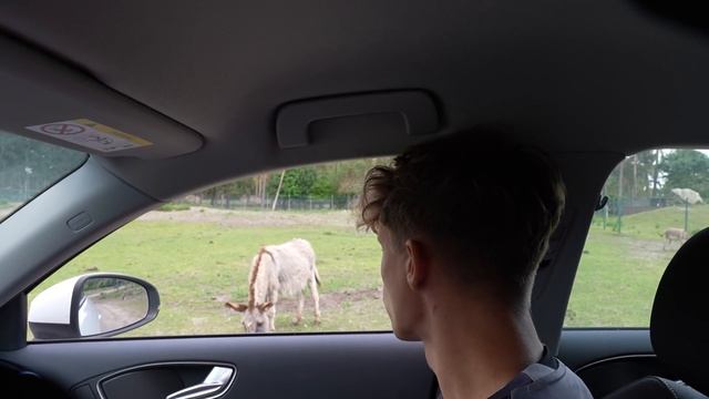 Payton & Luca im Tierpark ? смотреть онлайн