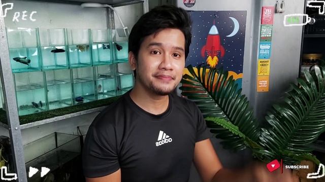 SHOPEE HAUL | MALAYSIA | AIR PURIFIER, DEERMA AIR HUMIDIFIER F329 & MONOPOD YUNTENG YT-9928 смотреть онлайн