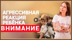 АГРЕССИВНЫЙ РЕБЕНОК - ПРИЧИНЫ.mp4