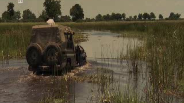 Жизнь среди больших кошек смотреть онлайн