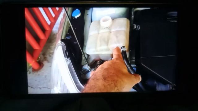 dica da troca líquido de arrefecimento Ford Focus Duratec 2009 a 2013