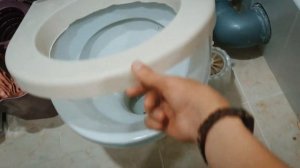 Как приучить кота к унитазу