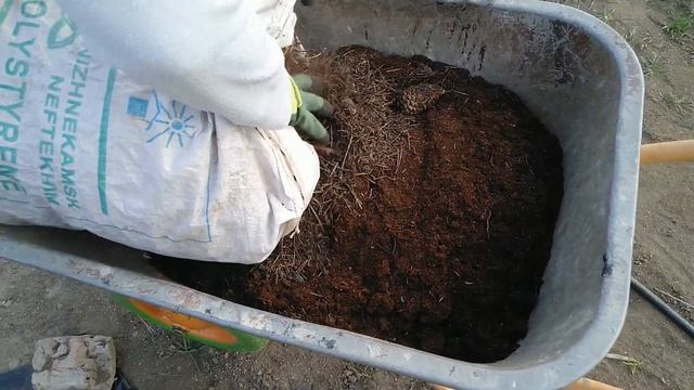 Голубика как посадить правильно.Возможные ошибки. смотреть онлайн